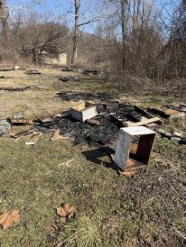 article image - bedillion